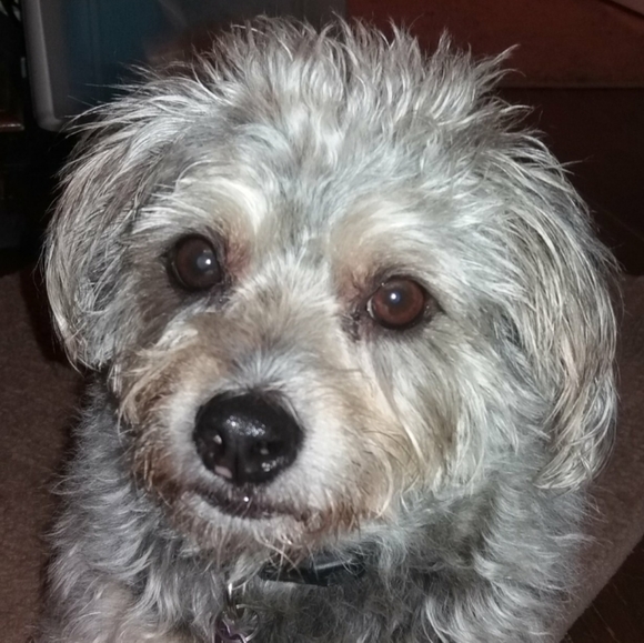 DONATING! - Picture 1 of 1